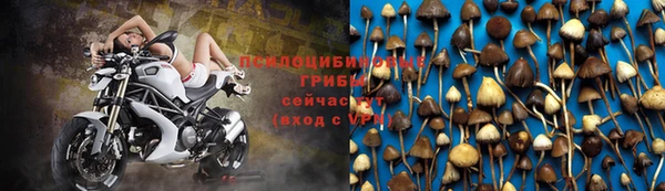 прущая мука Приозерск